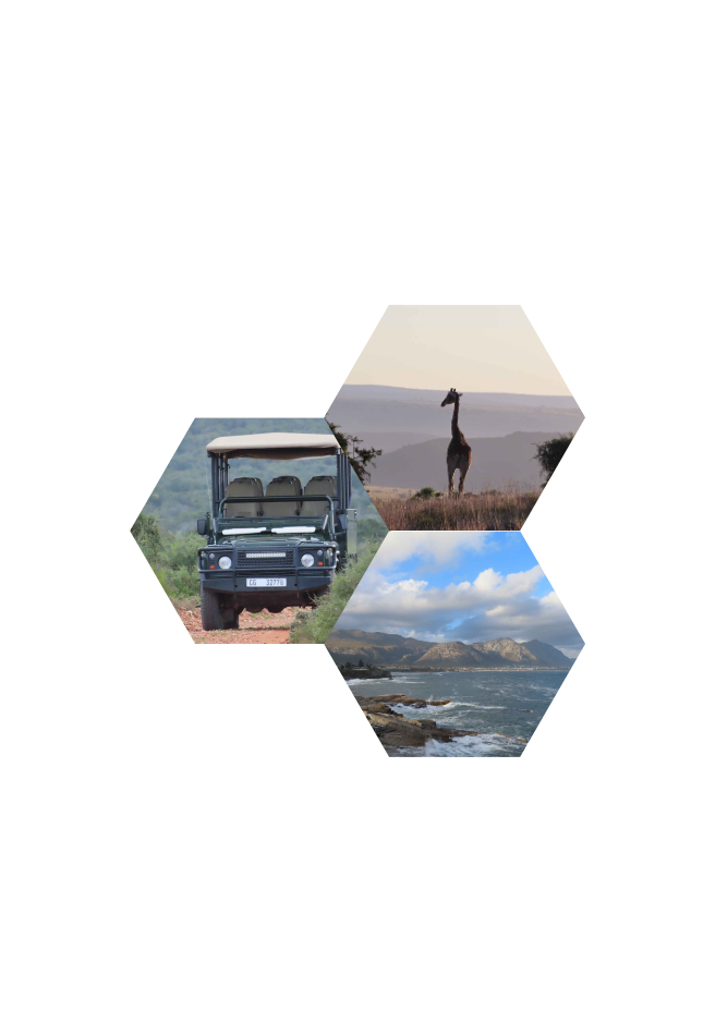 Zuid-Afrika